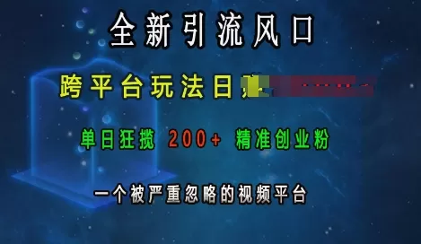 引流风口，跨平台玩法日入上k，单日200+创业粉，一个被严重忽略的视频平台-颜夕资源网-第12张图片