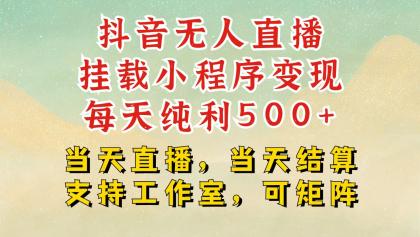 抖音无人挂机项目，轻松日入500+,挂载小程序玩法，不违规不封号，有号的一定挂起来-颜夕资源网-第12张图片