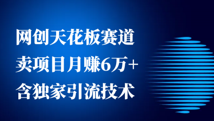 网创天花板赛道，卖项目月赚6万+，含独家引流技术（共26节课）-颜夕资源网-第12张图片