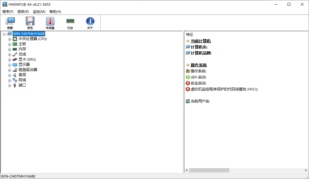 HWiNFO 专业系统信息诊断工具 v8.21.5655 便携版-倒腾怪分享社-第13张图片