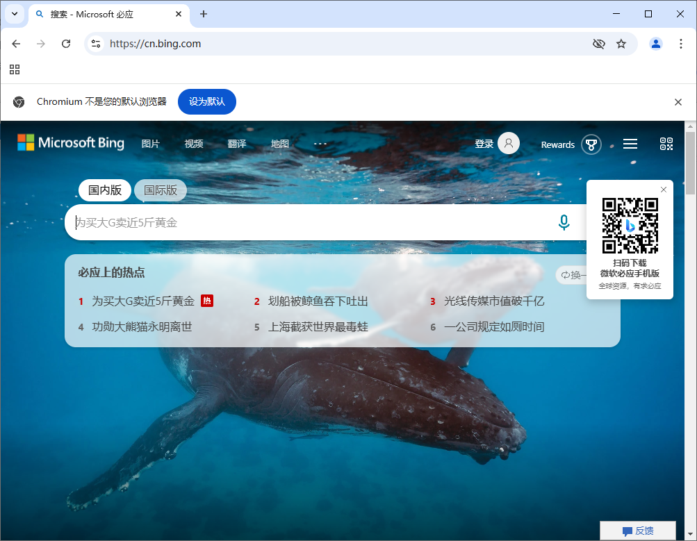 Ungoogled-Chromium v133.0.6943.98-1.1 中文绿色版-倒腾怪分享社-第13张图片