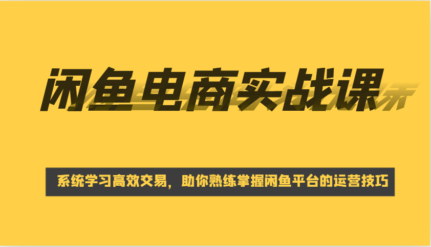 闲鱼电商实战课，系统学习高效交易，助你熟练掌握闲鱼平台的运营技巧-倒腾怪分享社-第13张图片