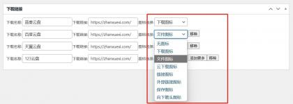 ds-download-link 插件：以独特图标选择，打造文章下载链接新体验！-颜夕资源网-第13张图片