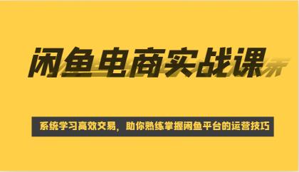 闲鱼电商实战课，系统学习高效交易，助你熟练掌握闲鱼平台的运营技巧-颜夕资源网-第10张图片