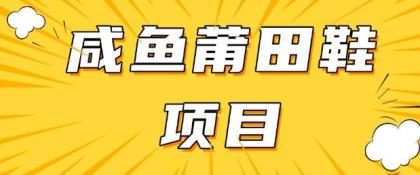 闲鱼平台高转化新项目，教你如何做，日入3张 (详尽实例教程 一手货源)