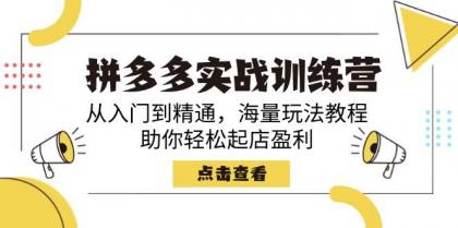 拼多多实战训练营，从入门到精通，海量玩法教程，助你轻松起店盈利-颜夕资源网-第10张图片