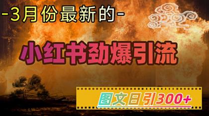 小红书的超劲爆引流方法方式，图文并茂日引300 轻轻松松转现1W-颜夕资源网-第10张图片