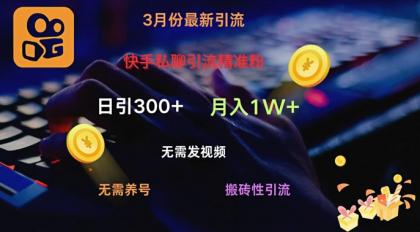 快手视频私信引流方法精准粉，当日奏效不用上传视频打金引流法日引300-颜夕资源网-第10张图片